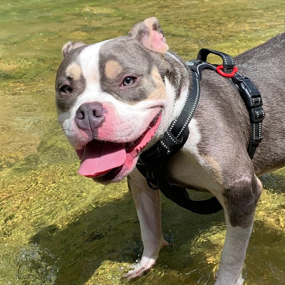 Meet your Posher, Alysa - Picture 2 of 3